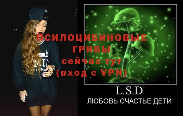 MDMA Premium VHQ Богородицк